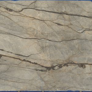 Sample of: Silver Roots - 136321-55