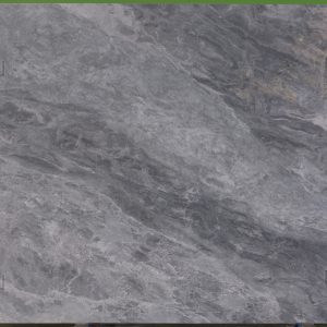 Sample of: Trambisera - 94665-36