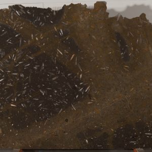 Sample of: Jurassic Brown Extra Marble - SB1131-40